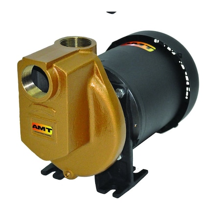 Amt Pump 1.5-in. Cast Bronze Electric w/ 1.5HP 1PH TEFC 3891-97